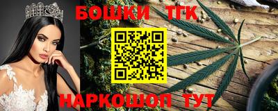 соль ск Партизанск