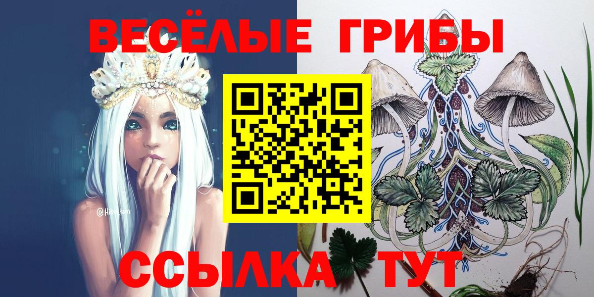 Галлюциногенные грибы мухоморы  Псилоцибиновые грибы ЛСД  хочу   Самара  Вход с VPN 